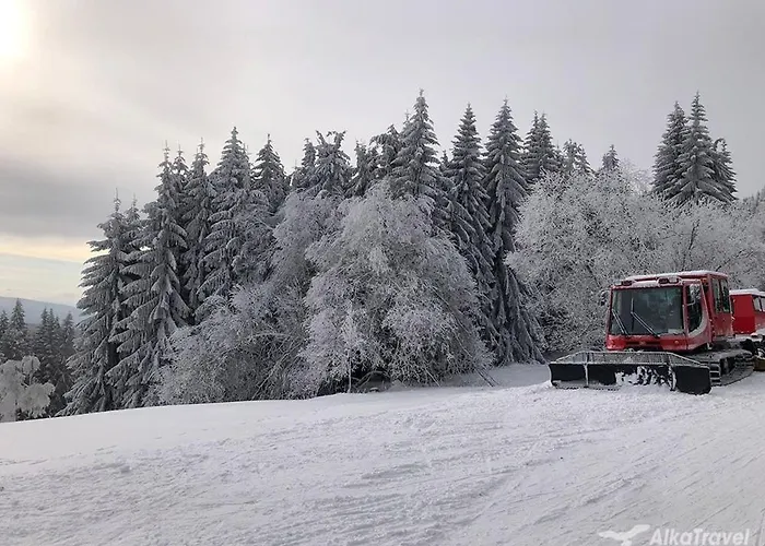 Design 1 - By Alkatravel, Ski&bike * Jańskie Łaźnie